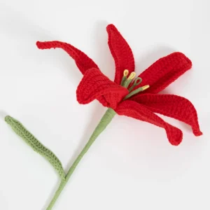 Iris Hand Knitted Crochet Flower Red | GigiandTom Best