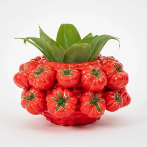 Pomodoro Ceramic Vase | GigiandTom Clearance